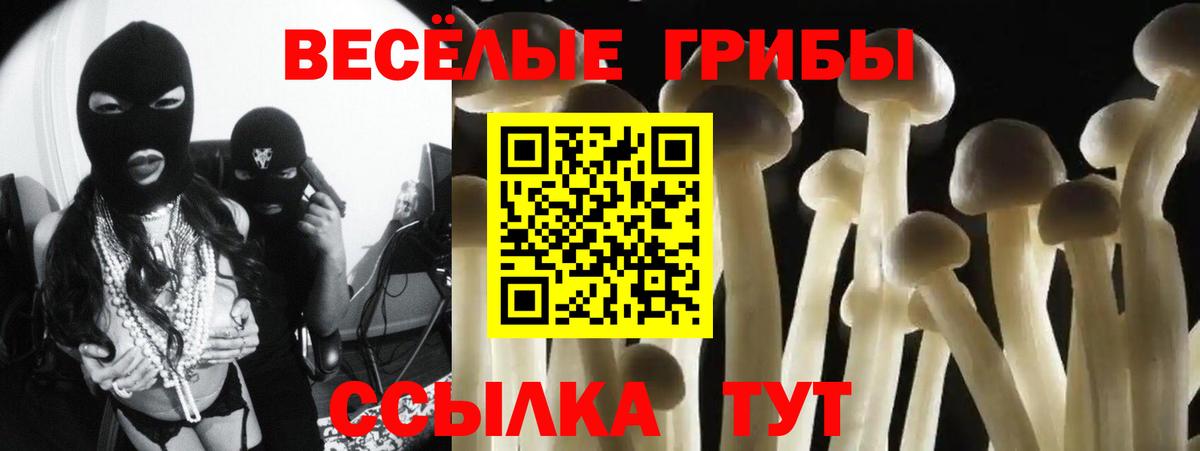 Орёл  Псилоцибиновые грибы Psilocybine cubensis  Вход с VPN  Псилоцибиновые грибы Psilocybe 